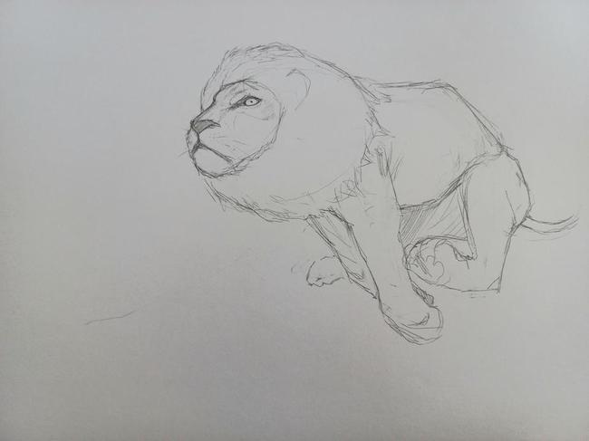 pic drawing